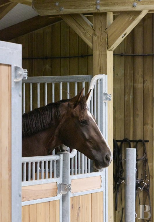 En Pays d’Auge, non loin de Lisieux, une ancienne ferme du 19e siècle transformée en paradis équestre - photo  n°19